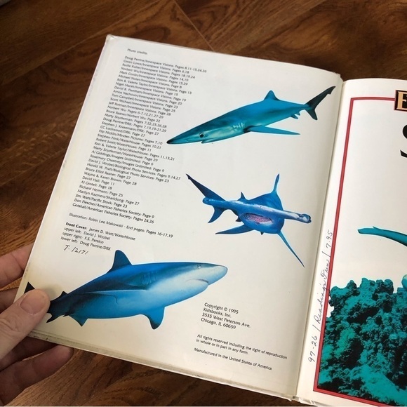 Eyes on Nature: Sharks, hardback book - Picture 5 of 5